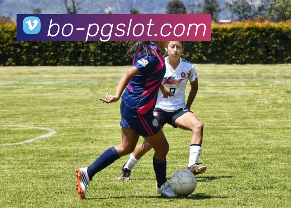 麻将胡了PG官网全站App